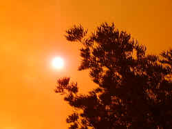 煙のために異様に赤みがかったた空。太陽が直視できる。