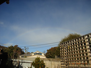 裏庭から見えた虹