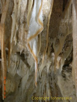 ヤロンゴビリー鍾乳洞の鍾乳石